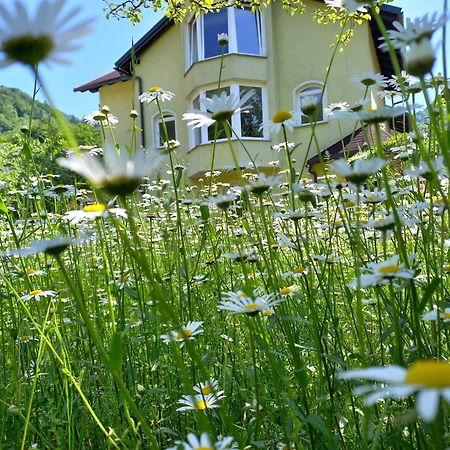 Riverside Villa Avo - Apartment Sara Spodnja Idrija Стая снимка