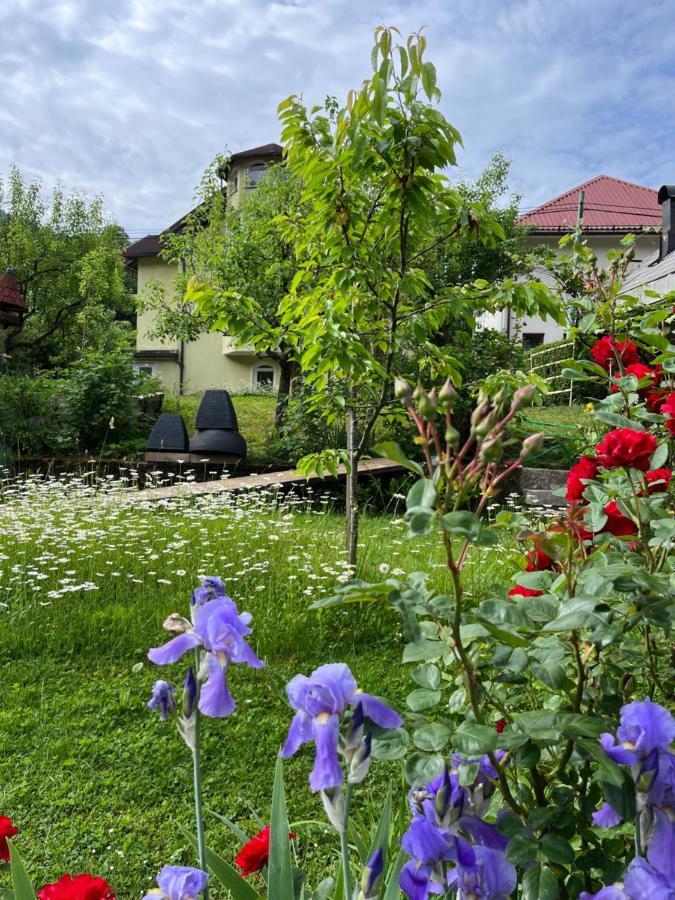 Riverside Villa Avo - Apartment Sara Spodnja Idrija Екстериор снимка